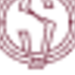 Profile picture of 49846645