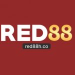 Profile picture of 49849158