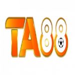 Profile picture of 49876629