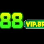 Profile picture of 49922133