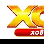 Profile picture of 49942435