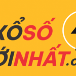 Profile picture of Xem kết quả xổ số mới nhất ba miền Bắc, Trung, Nam. KQXS hôm nay nhanh chóng, chính xác 100%. Cung cấp trực tiếp xổ số, soi cầu dự đoán, thống kê xổ số.Thông tin liên hệ:Thương hiệu: XoSoMoiNhatWebsite: https://xosomoinhat.com/