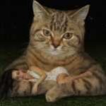 Profile picture of 50078121