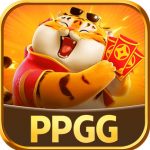 Profile picture of 50206991