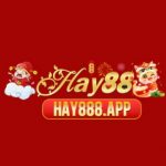 Profile picture of 50279779