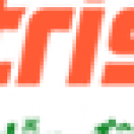 Profile picture of 50351031