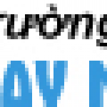 Profile picture of 50358761