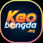 Profile picture of 50485212