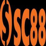 Profile picture of 50485224