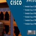 Profile picture of 50488384