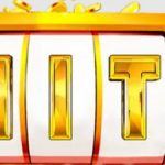 Profile picture of 50499423