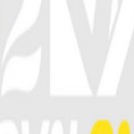 Profile picture of 50538492