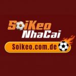 Profile picture of 50593154