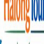 Profile picture of Tour du thuyền Hạ Long 2 ngày 1 đêm là lựa chọn hoàn hảo cho du khách muốn khám phá trọn vẹn kỳ quan thiên nhiên Vịnh Hạ Long, kết hợp nghỉ dưỡng sang trọng, thưởng thức ẩm thực và trải nghiệm độc đáo.