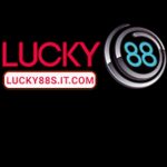 Profile picture of 50690525