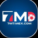 Profile picture of 50697617