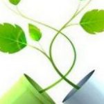 Profile picture of 50736705