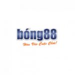 Profile picture of 50761267