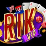 Profile picture of 50761306