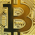 Profile picture of 50780871