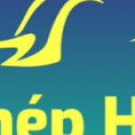 Profile picture of 50820983