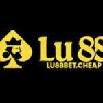 Profile picture of 50836119