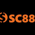 Profile picture of 50849639