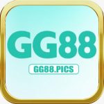 Profile picture of 51041938