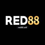 Profile picture of 51075099