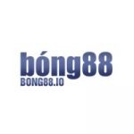 Profile picture of 51080440