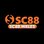 Profile picture of 51257056
