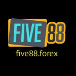 Profile picture of 51477441