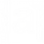 Profile picture of 51662238