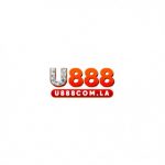 Profile picture of 51688164