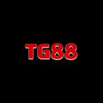 Profile picture of 51779913