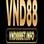 Profile picture of 51917471