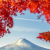 Profile picture of Tour Cung đường vàng mùa thu Nhật Bản 6N5Đ&nbsp;với hành trình vàng tham quan các thành phố: Osaka, Kyoto, Nagoya, Phú Sĩ , Tokyo. Quý khách có trải nghiệm trọn vẹn về một ” Xứ Phù Tang” xinh đẹp. Chương trình với nhiều điểm nhấn: