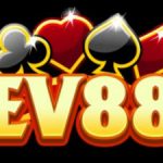 Profile picture of 51987190
