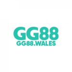 Profile picture of 52199297