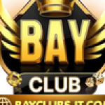 Profile picture of 52247447