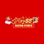 Profile picture of 52339200