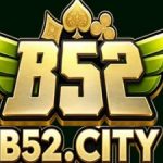 Profile picture of 52366861