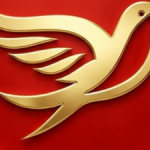 Profile picture of 52805536