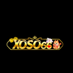 Profile picture of 53075013