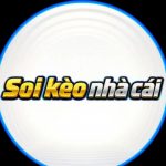 Profile picture of 53145613