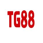 Profile picture of 53293356