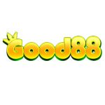 Profile picture of 53330410
